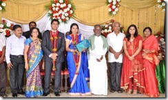 m-ramanathan-daughter-wedding-reception-photo1