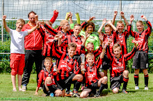 20140614 - WVV D4 - BATO TOERNOOI - 038.jpg