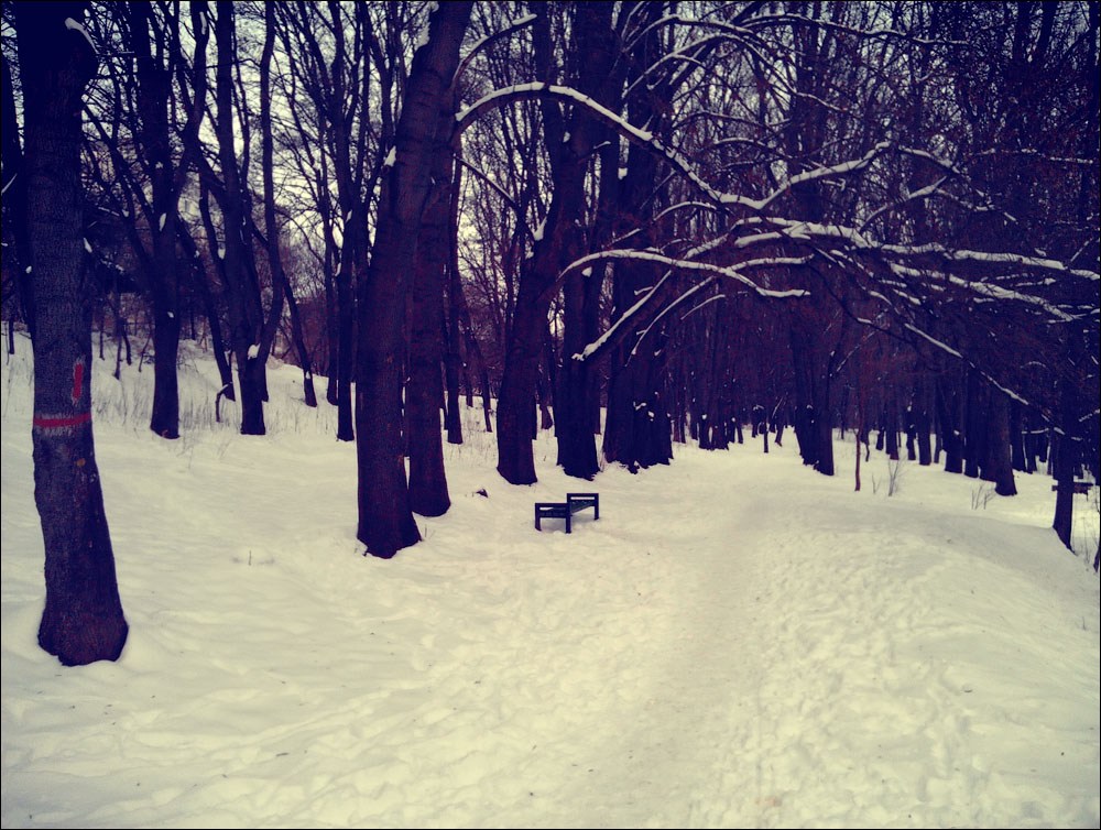 IMAG0222.jpg