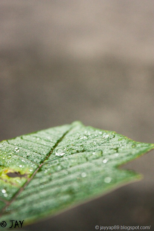 [IMG_95213.jpg]