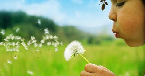 OgAAACKHk9hotXAi50Y3wXP_G0mzwTnAcim6HacXDy9kjQru2jItNsJg-yf_Boji3XmSOiH2PZo3DQe1gcOO7D3aJXIAm1T1UFo0RvWoQ10mzEiQyD5MnLstOeH2 OgAAACKHk9hotXAi50Y3wXP_G0mzwTnAcim6HacXDy9kjQru2jItNsJg-yf_Boji3XmSOiH2PZo3DQe1gcOO7D3aJXIAm1T1UFo0RvWoQ10mzEiQyD5MnLstOeH2