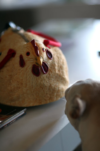 Wail a second - there's something not quite right with this hen!