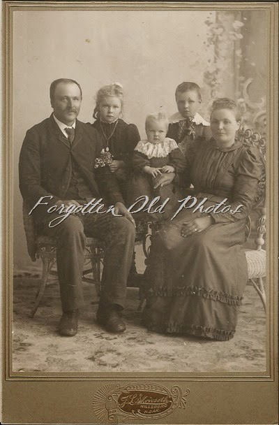 PS Waslien Family DL Ant PS Waslien Family DL Ant