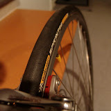 DSC02876.jpg