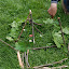 reunion%252520du%25252025.04.10%252520053.jpg