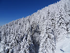 SDC11219.JPG