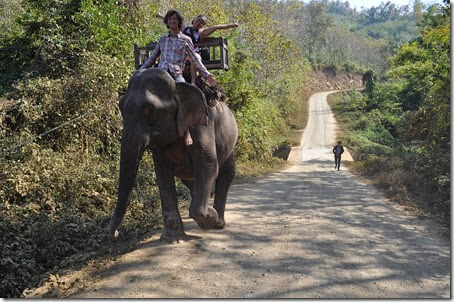Laos Luang Prabang Elephant camp 140201_0057