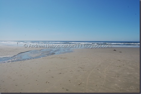 DSC_0818 DSC_0818
