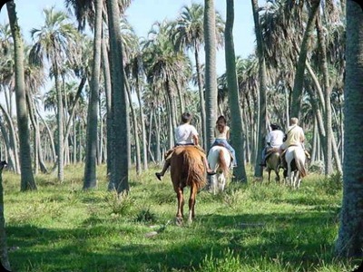 el_palmar_paseo_a_caballo el_palmar_paseo_a_caballo