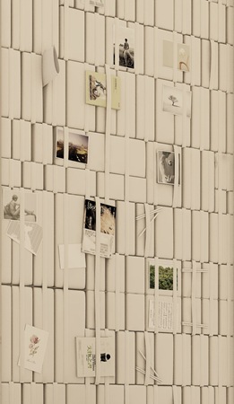 20120208 輝泰琴海 B&B Soft Wall 
