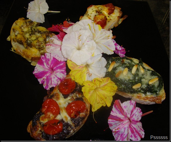 DSC04558 DSC04558