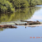 DSCN4175.JPG