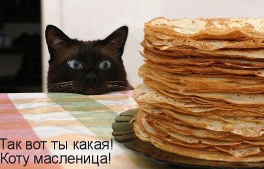 1363123431_prikoly-na-maslenicu-3 1363123431_prikoly-na-maslenicu-3