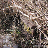 Rail from an old spur remains in the grass near the entrance to the Fremont State Lakes. Rail from an old spur remains in the grass near the entrance to the Fremont State Lakes.