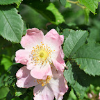 DSC_9454.jpg