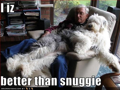 [old-english-sheepdog%255B3%255D.jpg]