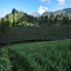 Farmland around Ranupane, looking back to Semeru