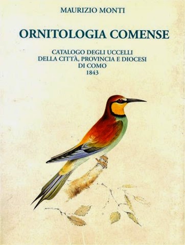 [OrnitologiacomenseMedium4.jpg]