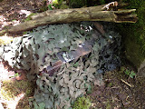 IMG_7155.JPG
