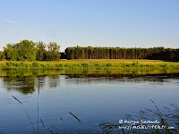 nadwarciańskie pejzaże