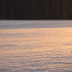 http://lh3.ggpht.com/-Rys6FgwvRiA/TqnrQ6WqMcI/AAAAAAAABEg/z0QuWtoOMcs/s1600/IMG_0213.JPG