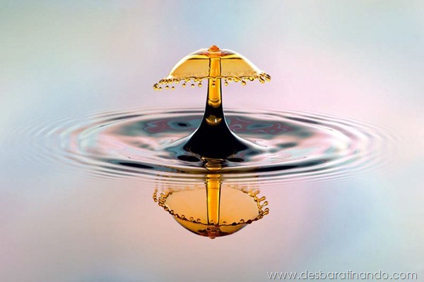 liquid-drop-art-gotas-caindo-foto-velocidade-hora-certa-desbaratinando (268)