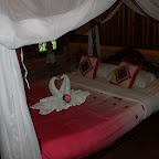 IMG_9110.JPG