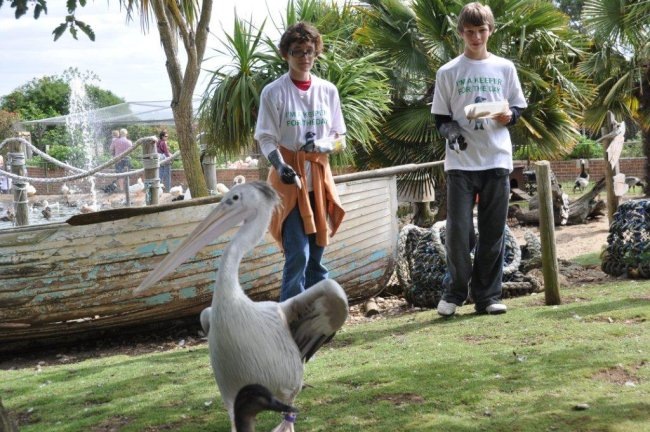 [Esther%2520and%2520Jonathan%2520pelicans%255B8%255D.jpg]