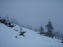 PA220066.JPG