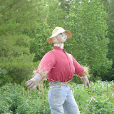 Our scarecrow.