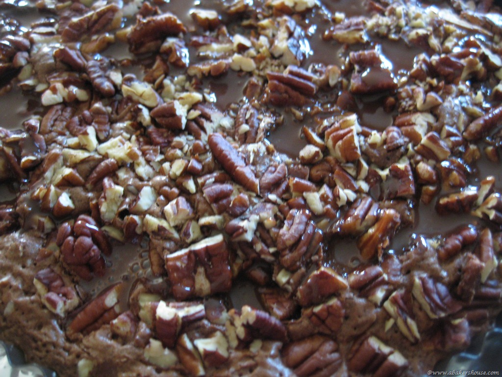 [ganache%2520in%2520brownie%255B7%255D.jpg]