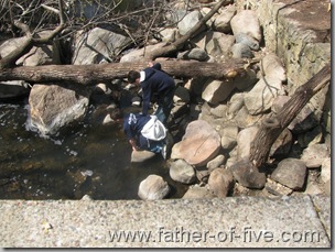 One lucky crayfish got away from the two!