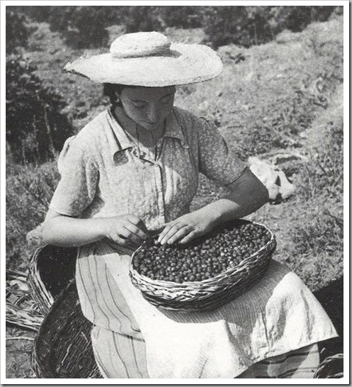 dia de la mujer trabajadora