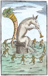 From Nazari Della Tramutatione Metallica Sogni Tre 1572