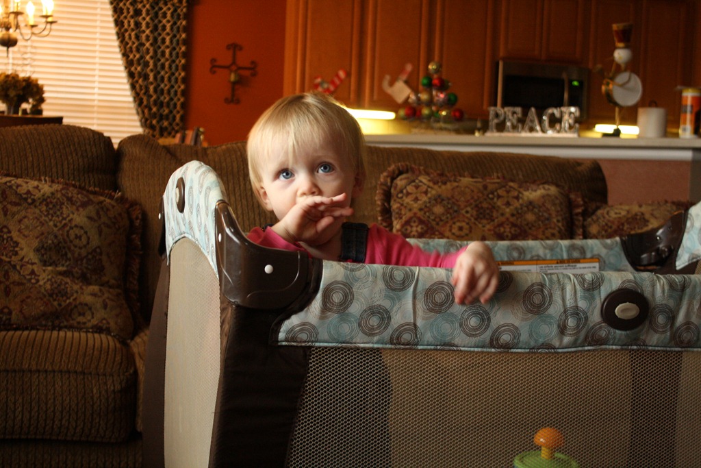 [IMG_5680%255B6%255D.jpg]