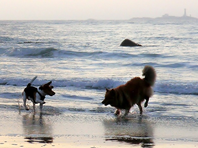 [november420110227.jpg]