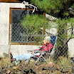 Elderly