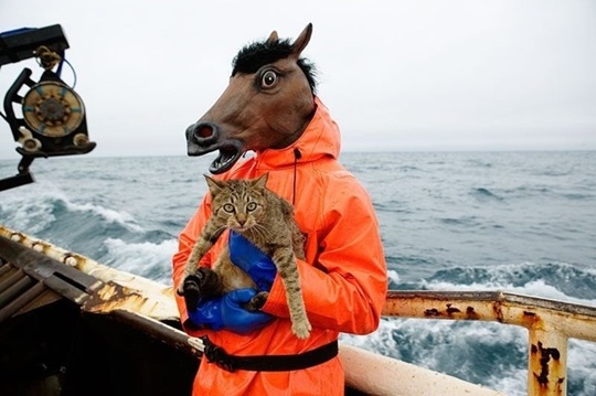 [strange-cats-expain-that-4%255B2%255D.jpg]