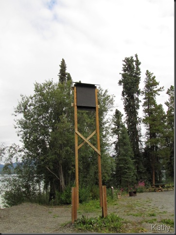 Bat Box at Squanqa Lake Recreation Site
