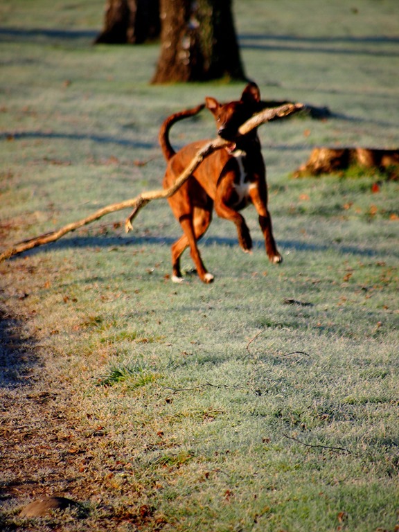 [15%2520Jan%25206%255B3%255D.jpg]