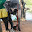 ELEFANT SRI LANKA