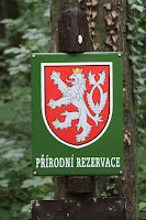 CZR1-11_LH_3975.JPG