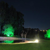 DSC_09847_resize.jpg