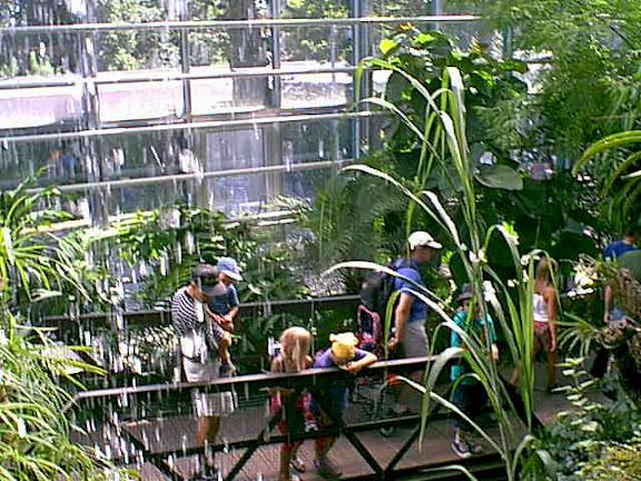 Visitors in the zoo
