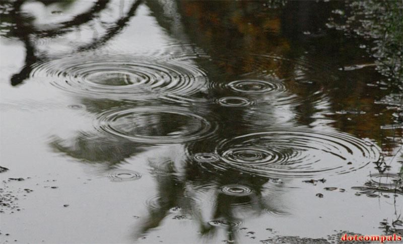 Trip to palakkad (KERALA, INDIA)