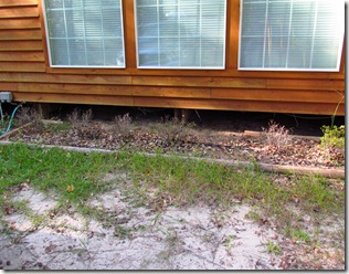 IMG_2025 IMG_2025