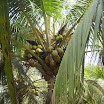 DSCN1372.JPG