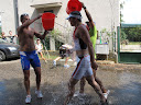 IMG_3965.jpg
