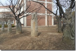 SAM_0033 SAM_0033