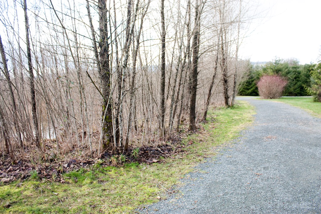 [20130317-IMG_70424.jpg]